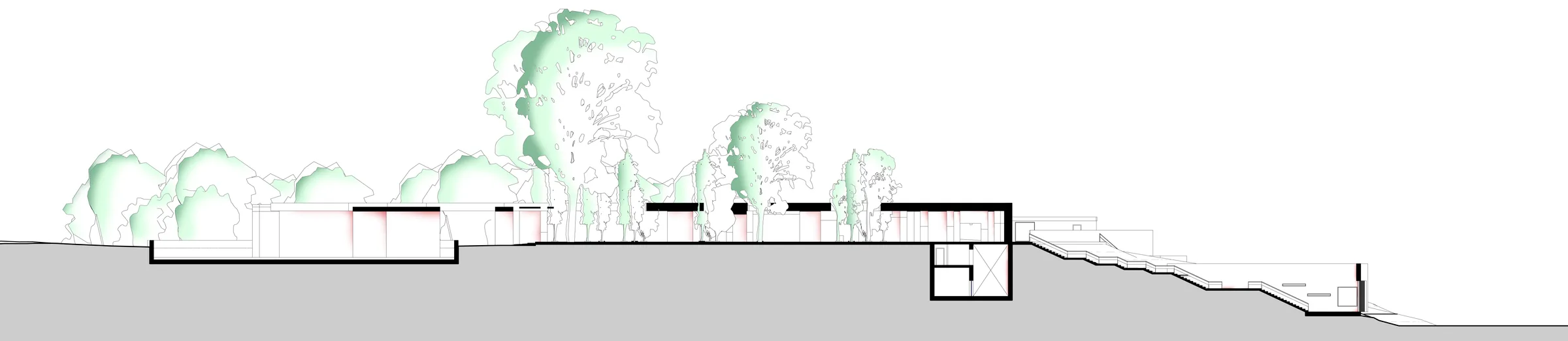 The same long section through the site with the tree canopy rendered in green.