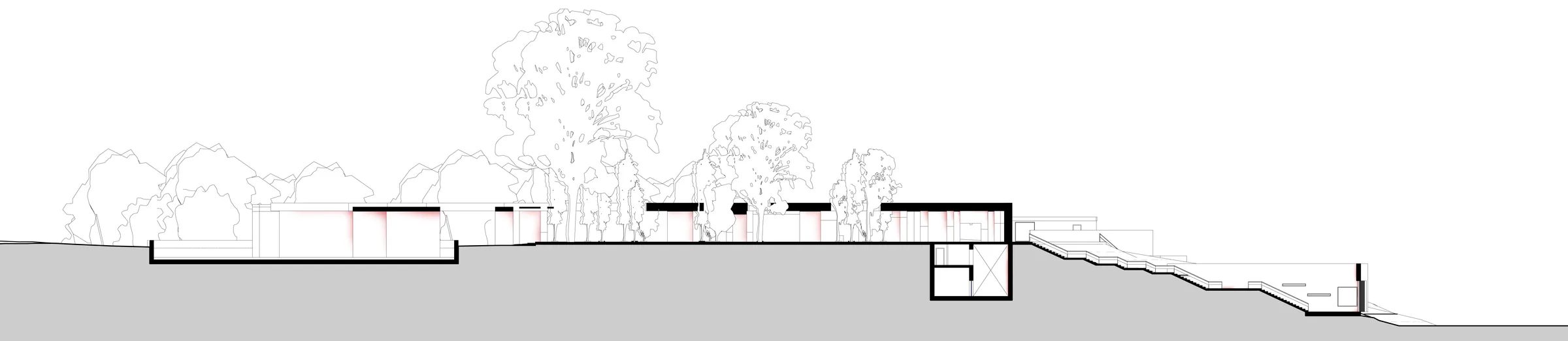 Long section through the site: low pavilions along the ground, a two level cut down to the lower residence, terraces stepping away to the right, trees drawn in outline.